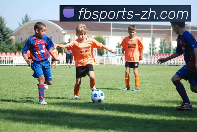 FB体育中文网APP 体育赛事宣传图